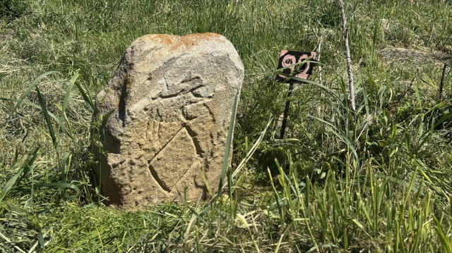 The graves of Turkish tribes resist time under the shade of a 750-year-old monumental tree