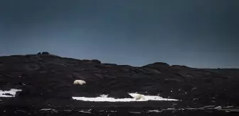 Ulusal Arktik Bilimsel Araştırma Seferi 82 Derece Kuzey Enlemine Ulaştı