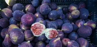 Bursa Siyah İnciri'nin İhracatı 17 Bin Ton Olacak