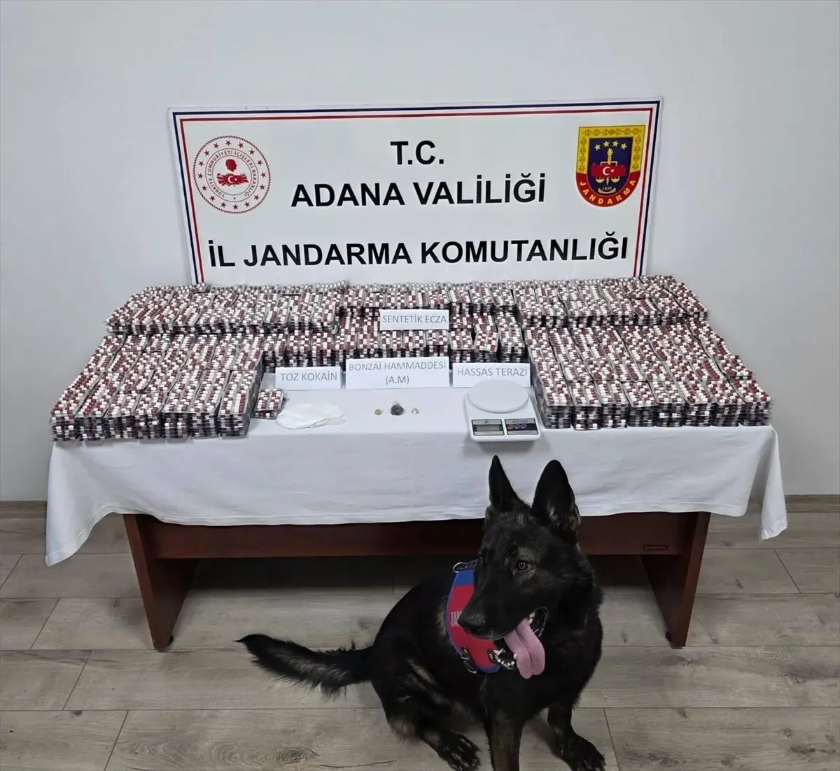 Adana'da 19 Bin Sentetik Uyuşturucu Hap Ele Geçirildi