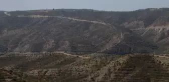 Adana'da Yangınla Zarar Gören Orman Alanları Yeniden Yeşillendirildi