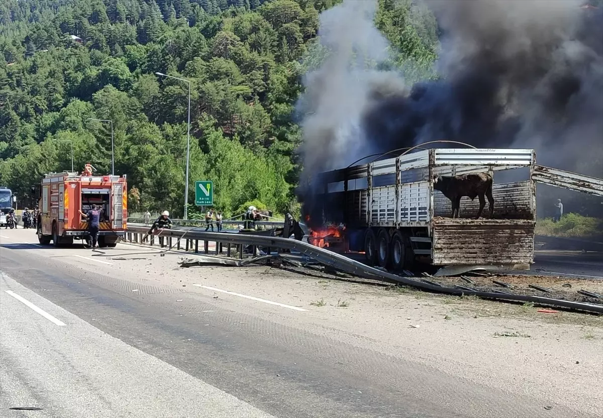 Adana'da Büyükbaş Hayvan Yüklü Tırda Yangın Çıktı