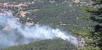 Adana'nın Kozan ilçesinde orman yangını kontrol altına alındı