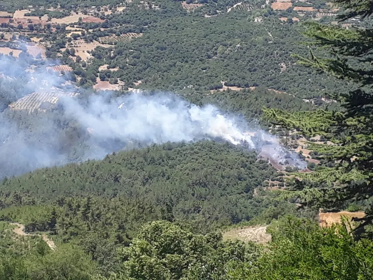 Adana'nın Kozan ilçesinde orman yangını kontrol altına alındı