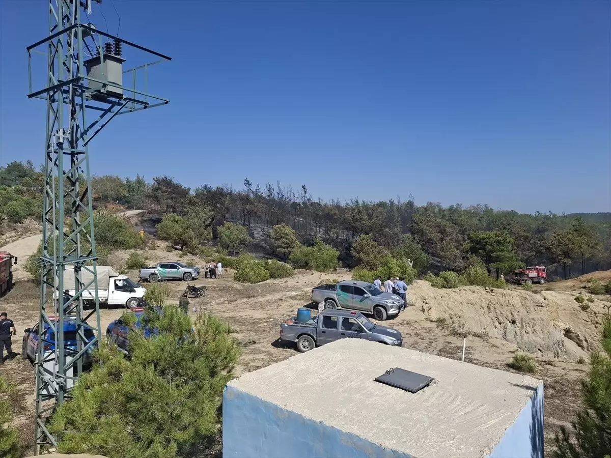 Adana'da Orman Yangını Kontrol Altına Alındı