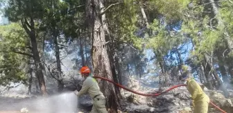 Adana'daki Orman Yangını Kontrol Altına Alındı