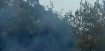 Adana'da Orman Yangını Kontrol Altına Alındı