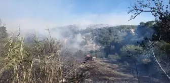 Ceyhan'da Orman Yangını Kontrol Altına Alındı