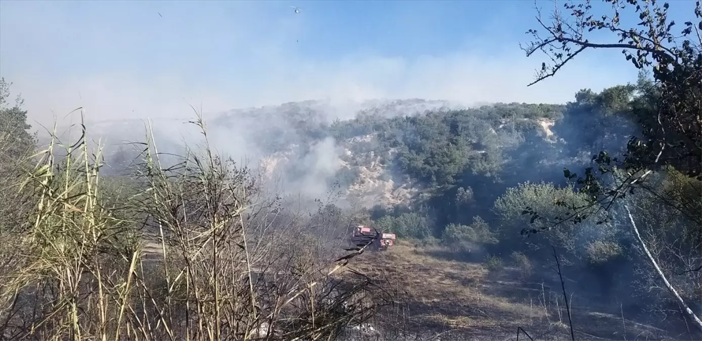 Ceyhan'da Orman Yangını Kontrol Altına Alındı