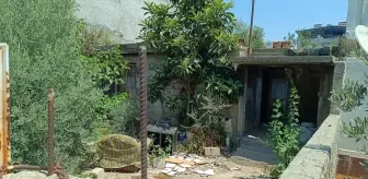 Adana'da oğlu tarafından sopayla darbedildiği iddia edilen kadın hayatını kaybetti
