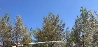 Adana'da Orman Yangınına Hava ve Kara Müdahalesi