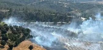Adana'da Orman Yangını Kontrol Altına Alındı