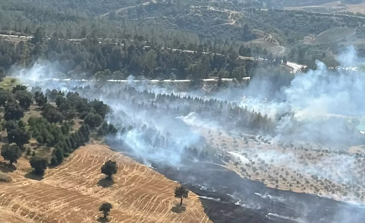 Adana'da Orman Yangını Kontrol Altına Alındı