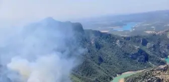 Adana'da Orman Yangınına Havadan ve Karadan Müdahale