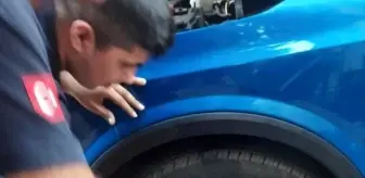 Otomobilin Motoruna Sıkışan Kedi Yavrusu İtfaiye Tarafından Kurtarıldı