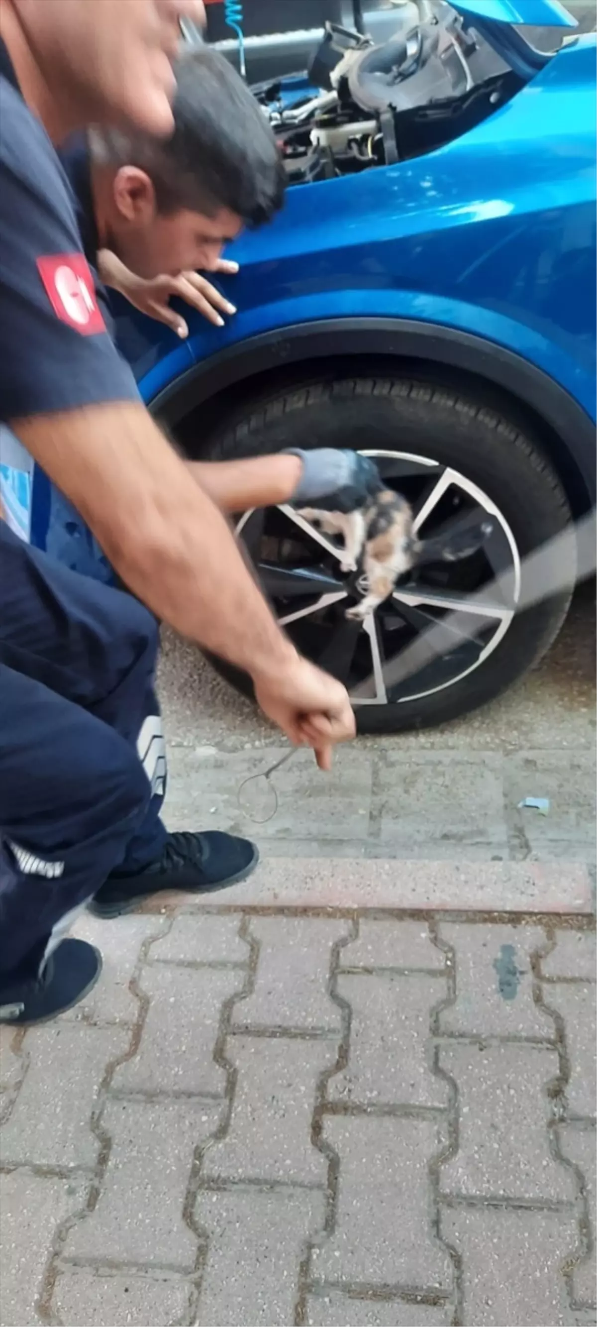 Otomobilin Motoruna Sıkışan Kedi Yavrusu İtfaiye Tarafından Kurtarıldı