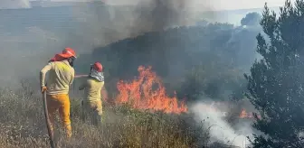 Adana'da Tarladan Ormana Sıçrayan Yangın Kontrol Altına Alındı