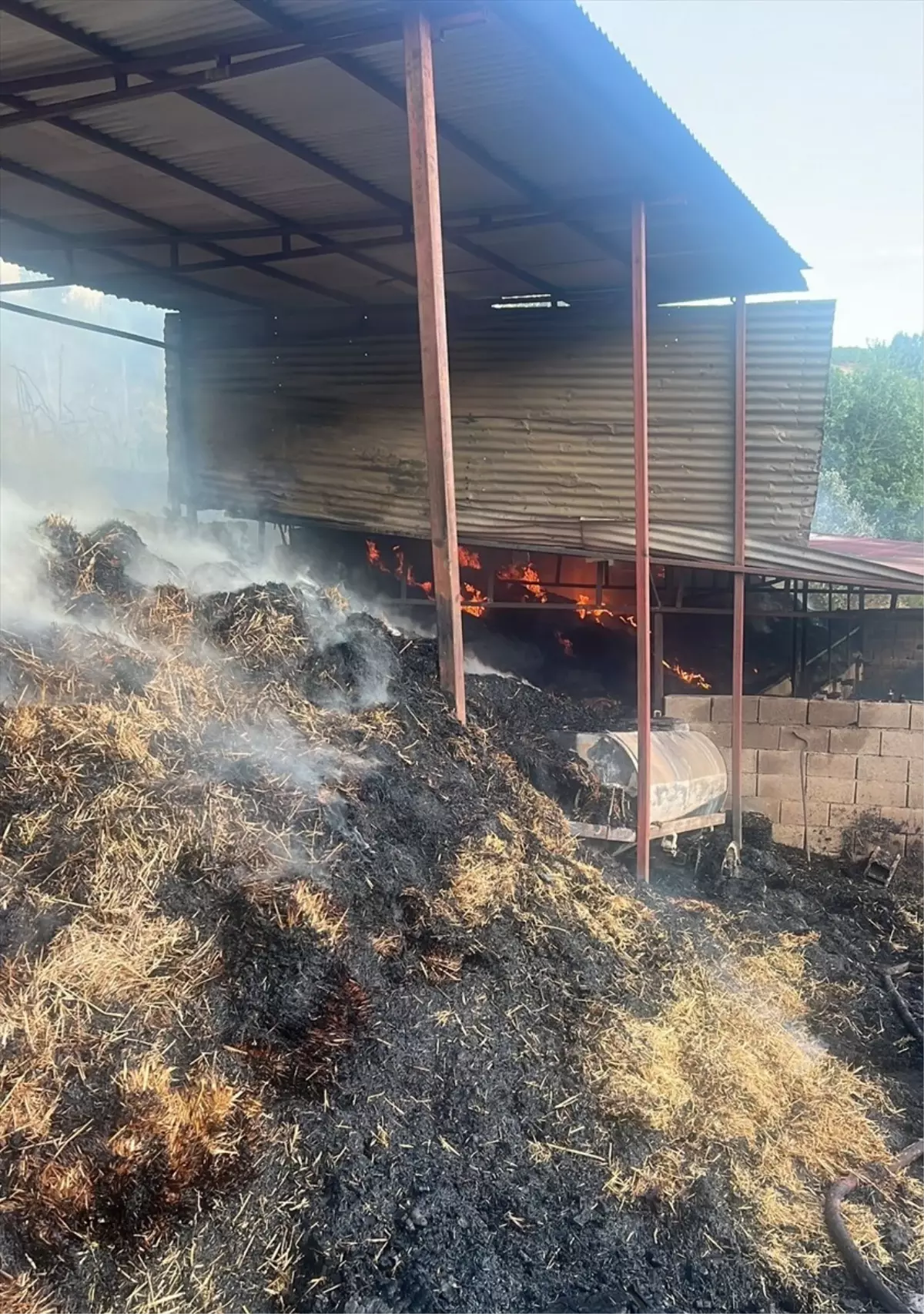 Kozan'da Ahır Yangını: 5 İnek Telef Oldu