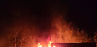 Adana'da Tır Yangını, Ormanlık Alana Sıçradı