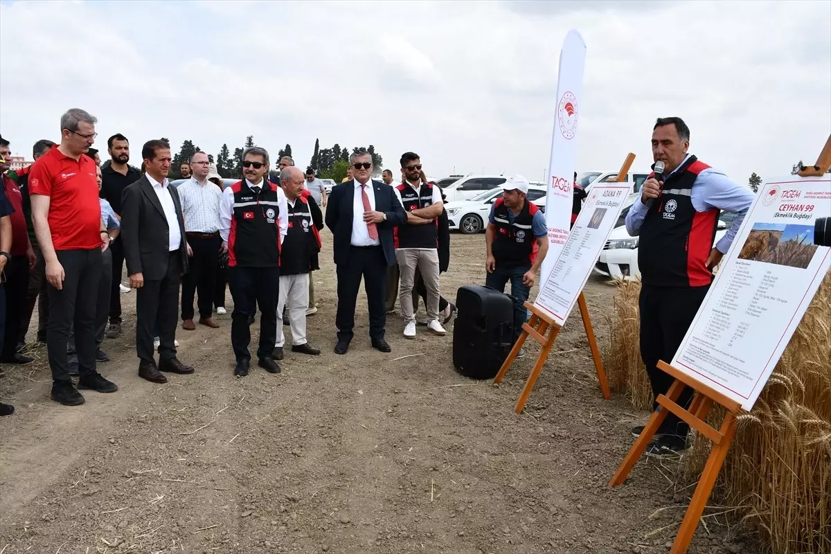 Yerli ve Milli Tohumlar Tanıtıldı: Adana'da Tarla Günü Etkinliği