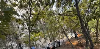 Adana'da Orman Yangınına Hava ve Kara Müdahalesi