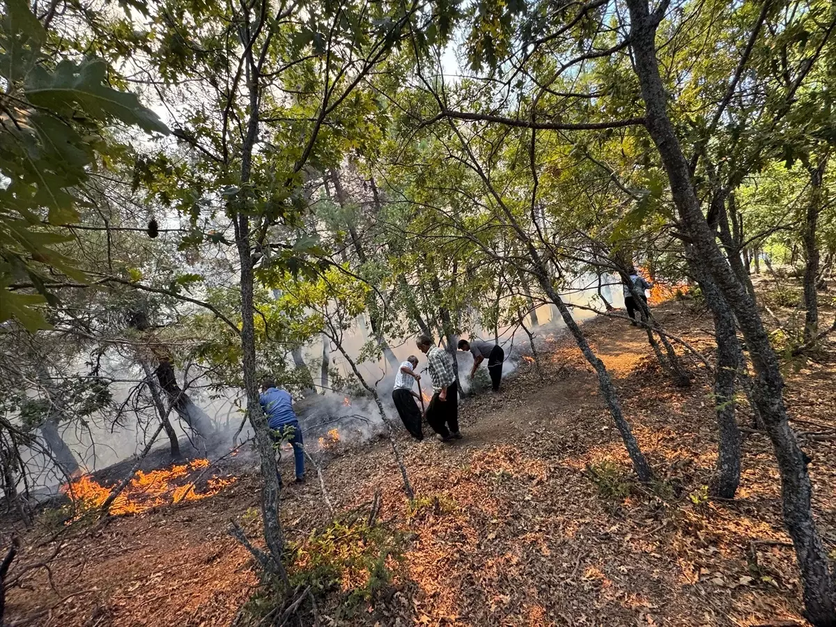 Adana'da Orman Yangınına Hava ve Kara Müdahalesi