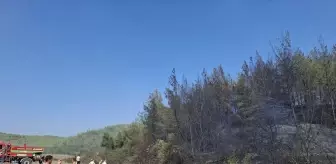 Adana'nın Karaisalı İlçesindeki Orman Yangını Kontrol Altına Alındı