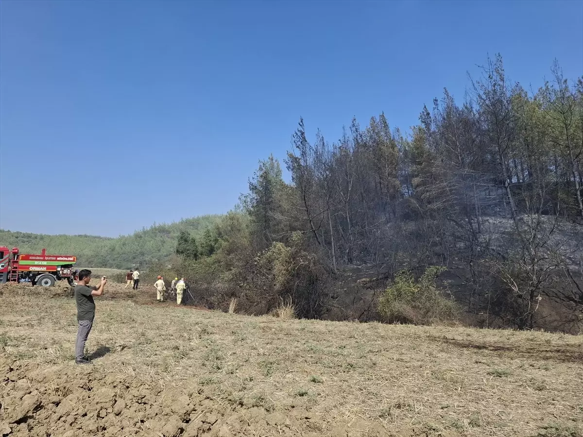 Adana'nın Karaisalı İlçesindeki Orman Yangını Kontrol Altına Alındı