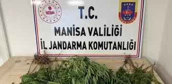 Salihli'de Uyuşturucu Operasyonu: 39 Yaşındaki Şüpheli Tutuklandı