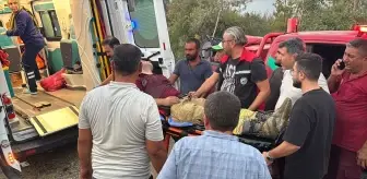Adana'da Orman Yangınına Müdahale Ediliyor