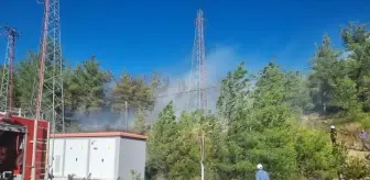 Adana'da Orman Yangını Kontrol Altına Alındı
