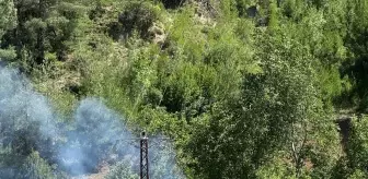 Adana'da Orman Yangınına Hızla Müdahale