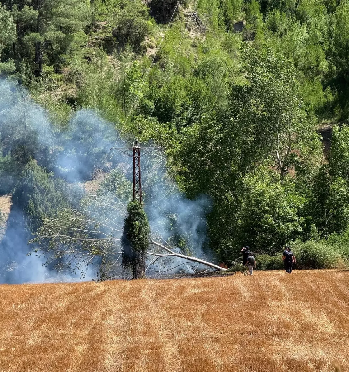 Adana'da Orman Yangınına Hızla Müdahale