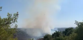 Adana'da Orman Yangınına Hızla Müdahale Ediliyor