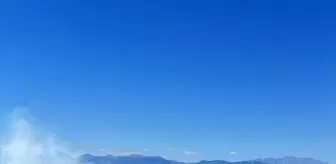 Adana'nın Sarıçam İlçesinde Orman Yangınına Müdahale Ediliyor
