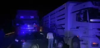 Adana-Pozantı Otoyolu'nda Trafik Kazası: Ulaşımda Aksamalar