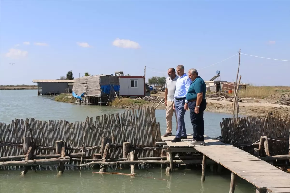 Tarım ve Orman Müdürü Bayazıt'tan Adana'da Üretim İncelemeleri