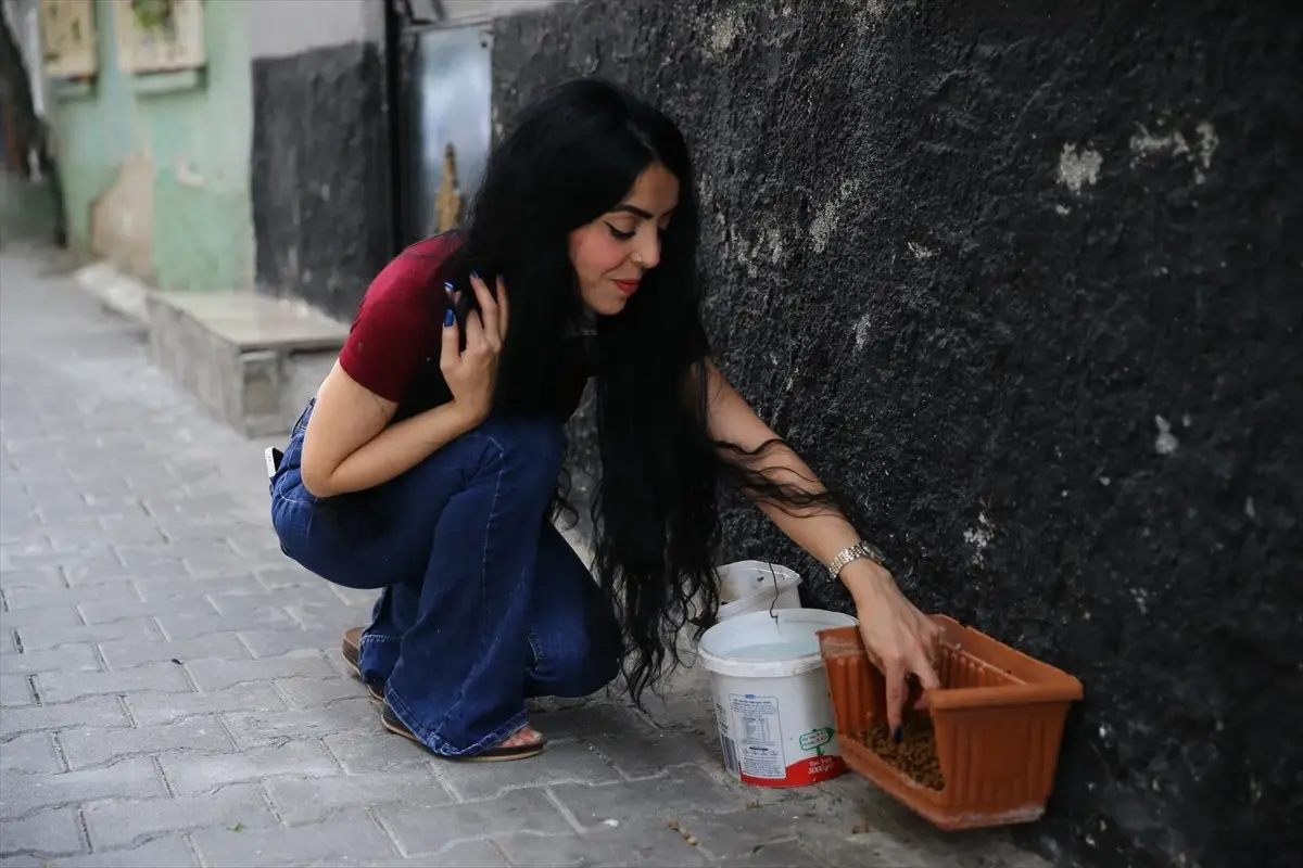 Hayvansever Nur Kıykaç, Kedilere Yuva Oldu