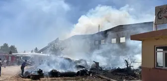 Adıyaman Organize Sanayi Bölgesi'nde Yangın