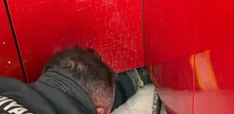 Adıyaman'da Mutfağa Giren Yılan İtfaiye Tarafından Yakalandı