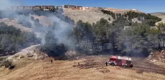 Adıyaman'daki Orman Yangını Söndürüldü