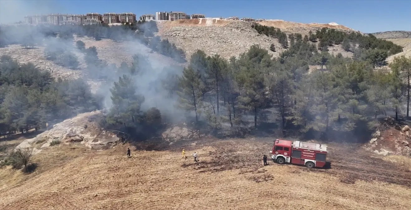 Adıyaman'daki Orman Yangını Söndürüldü