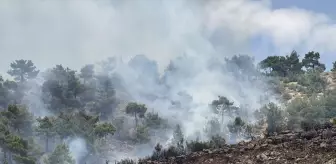 Adıyaman'da Orman Yangını Kontrol Altına Alındı