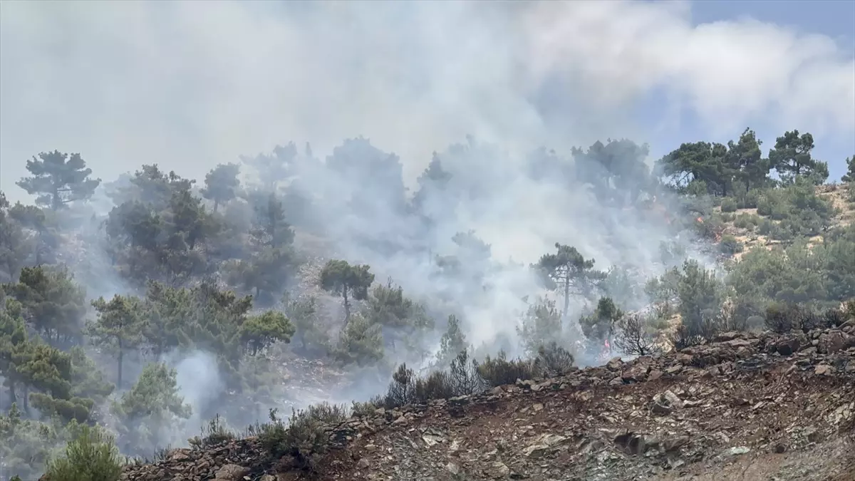Adıyaman'da Orman Yangını Kontrol Altına Alındı