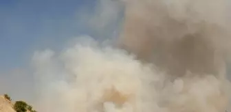 Adıyaman'da Orman Yangınına Hava ve Karadan Müdahale