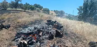 Adıyaman'da Tarla Yangını Ormana Sıçradı, Kısa Sürede Söndürüldü