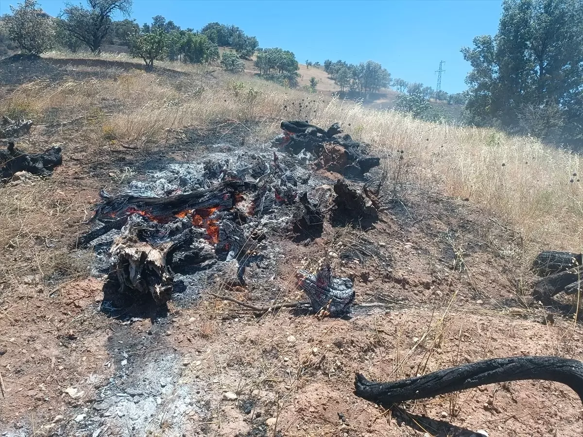 Adıyaman'da Tarla Yangını Ormana Sıçradı, Kısa Sürede Söndürüldü