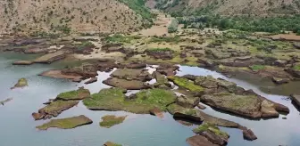 Çat Barajı'nda Yüzen Adaların Korunması İçin Sabitleme Çalışmaları Başlatıldı