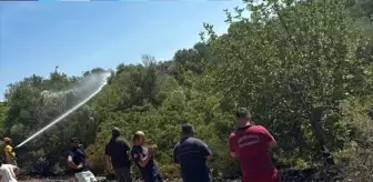 Kumluca'da Tarım Arazisinde Yangın Kontrol Altına Alındı