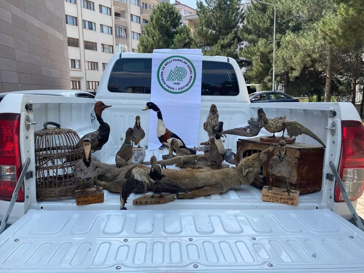 Afyonkarahisar'da Hayvan Tahnitine Para Cezası